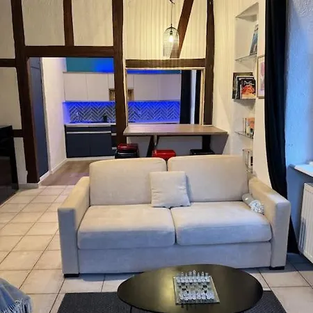 Apartmán Schwendi - L'authentique - En Hypercentre Colmar