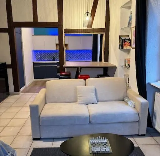 Apartamento Schwendi - L'authentique - En Hypercentre Colmar