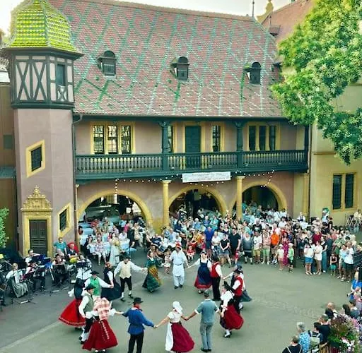 Daire Schwendi - L'authentique - En Hypercentre *